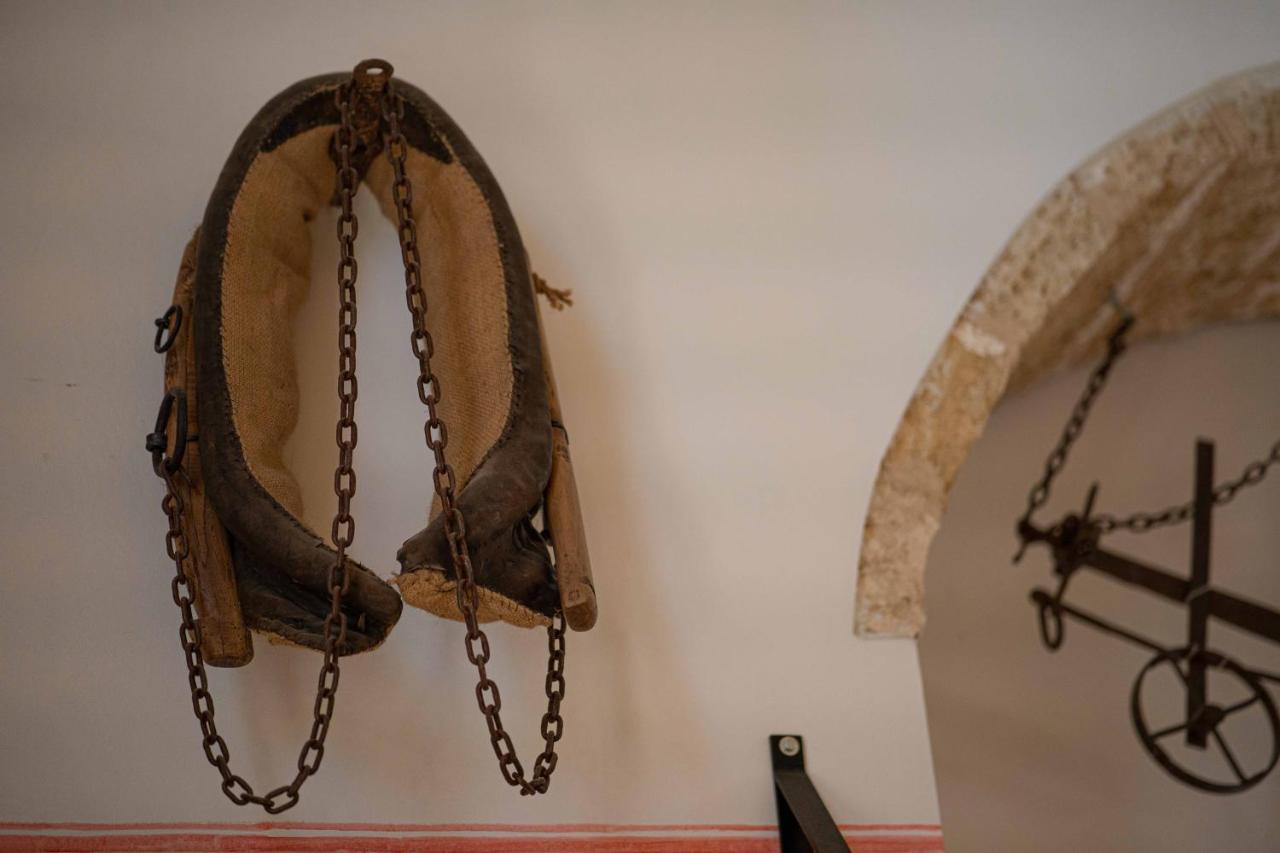 B&B Palazzo La Traja Gagliano del Capo Dış mekan fotoğraf